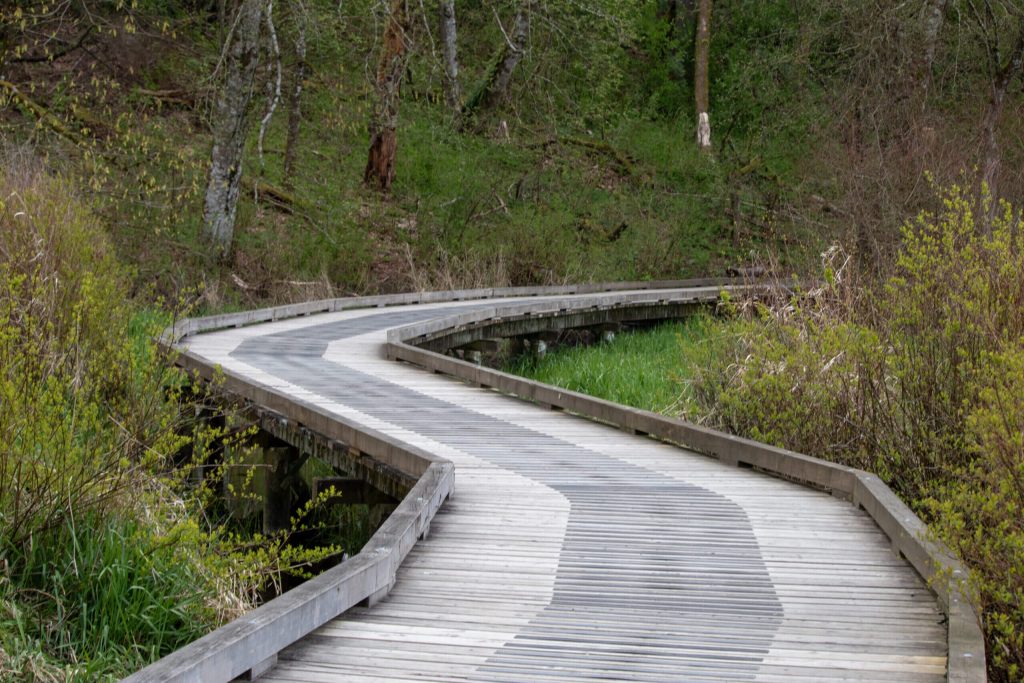 A view of an empty boardwalks at Campbell Valley Regional Park.